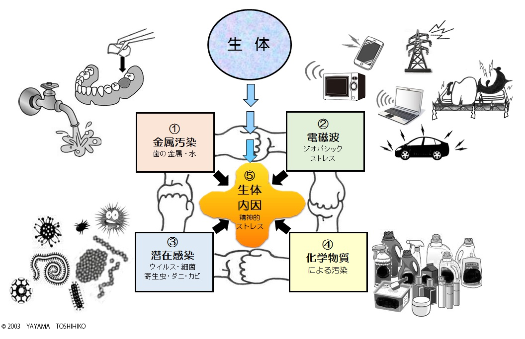 5つの病因論